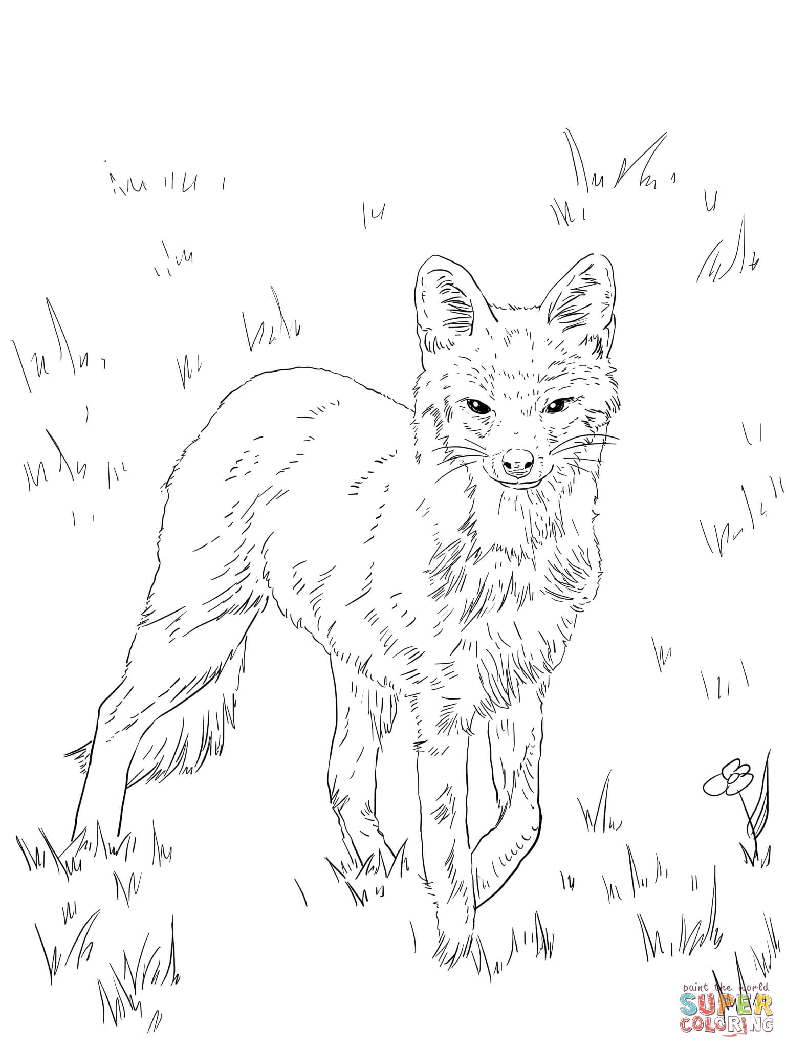 90 Printable Artic Fox Coloring 4