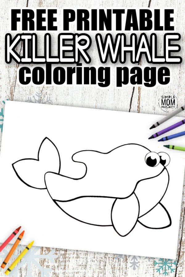 Get 85 Killer Whale Coloring Pages Ideas 19