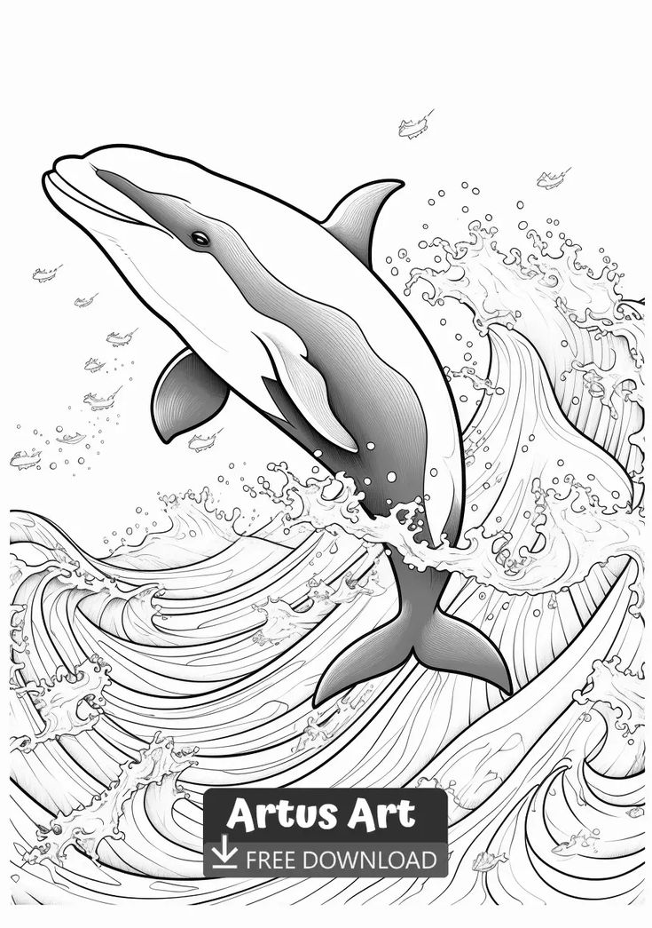 Get 85 Killer Whale Coloring Pages Ideas 20